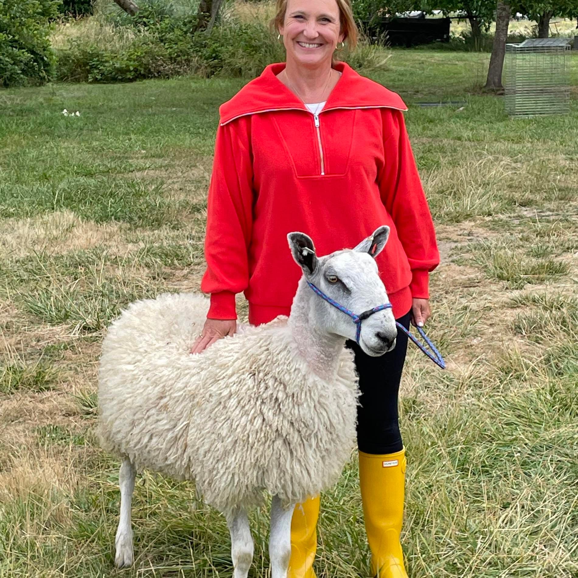 A Willow B. Farm shepherd standing with a halter-trained sheep in the pasture